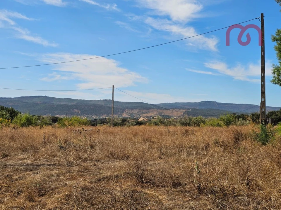 Quinta T2 para Venda em Rio de Moinhos Foto 15