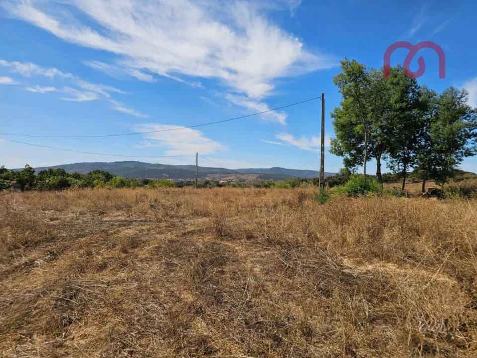 Quinta T2 para Venda em Rio de Moinhos Foto 16
