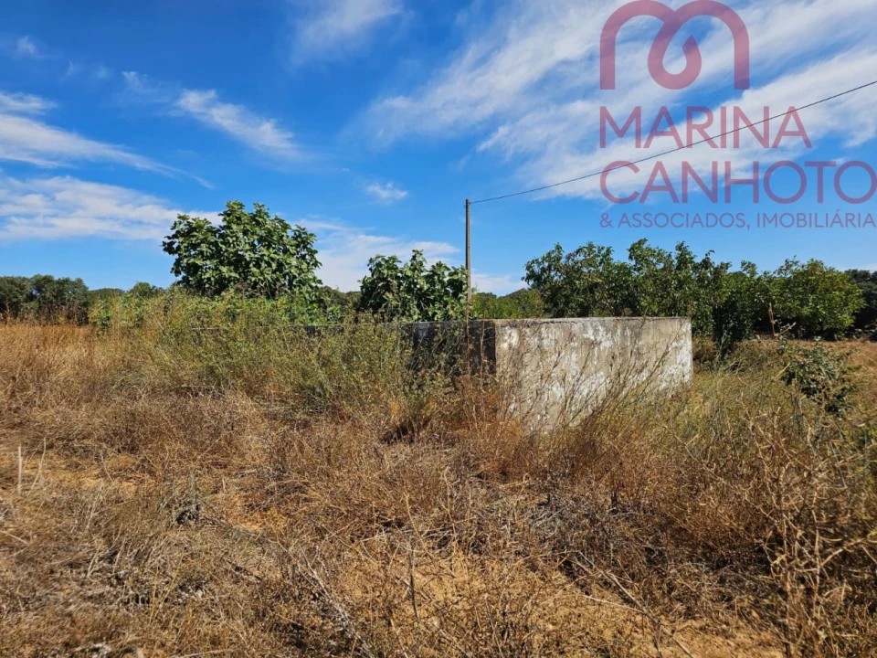 Quinta T2 para Venda em Rio de Moinhos Foto 19