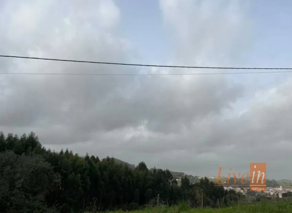 Terreno para Venda em Enxara do Bispo, Gradil e Vila Franca do Rosário Foto 12