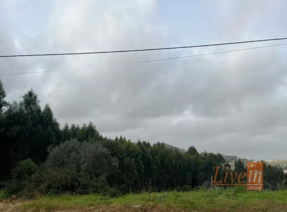 Terreno para Venda em Enxara do Bispo, Gradil e Vila Franca do Rosário Foto 13