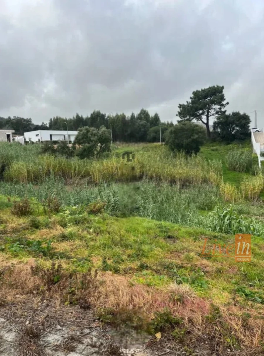 Terreno para Venda em Enxara do Bispo, Gradil e Vila Franca do Rosário Foto 2