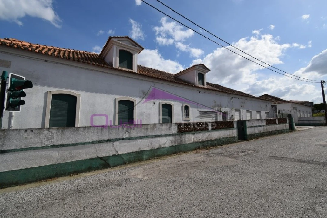 Armazém para Venda em Riachos Foto 5