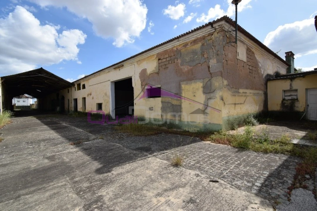 Armazém para Venda em Riachos Foto 28