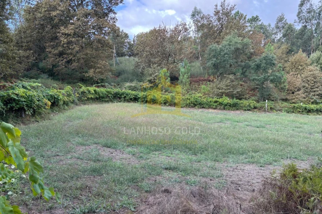 Terreno Agricola ou Rústico para Venda em Verim, Friande e Ajude Foto 2
