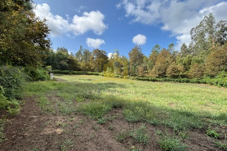 Terreno Agricola ou Rústico para Venda em Verim, Friande e Ajude Foto 1