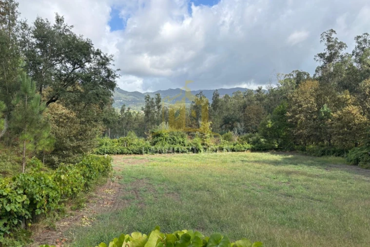 Terreno Agricola ou Rústico para Venda em Verim, Friande e Ajude Foto 3