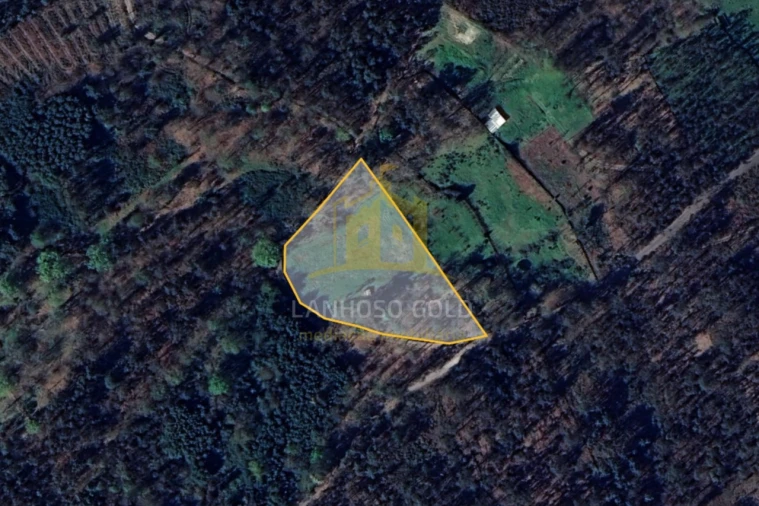 Terreno Agricola ou Rústico para Venda em Verim, Friande e Ajude Foto 6