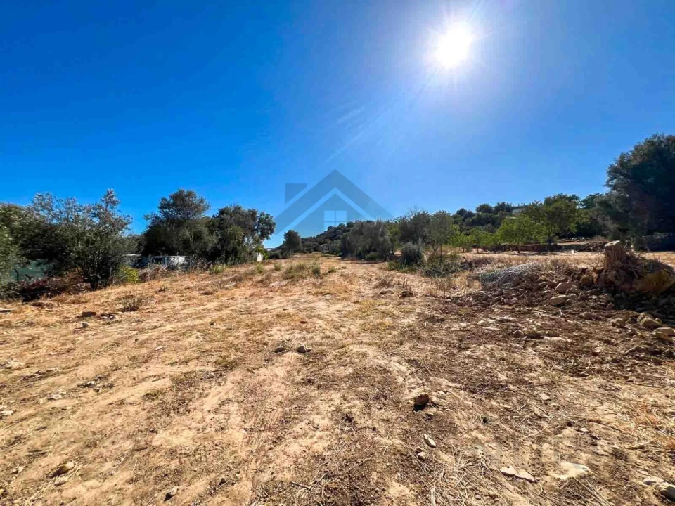 Terreno Agricola ou Rústico para Venda em Alcantarilha e Pêra Foto 11