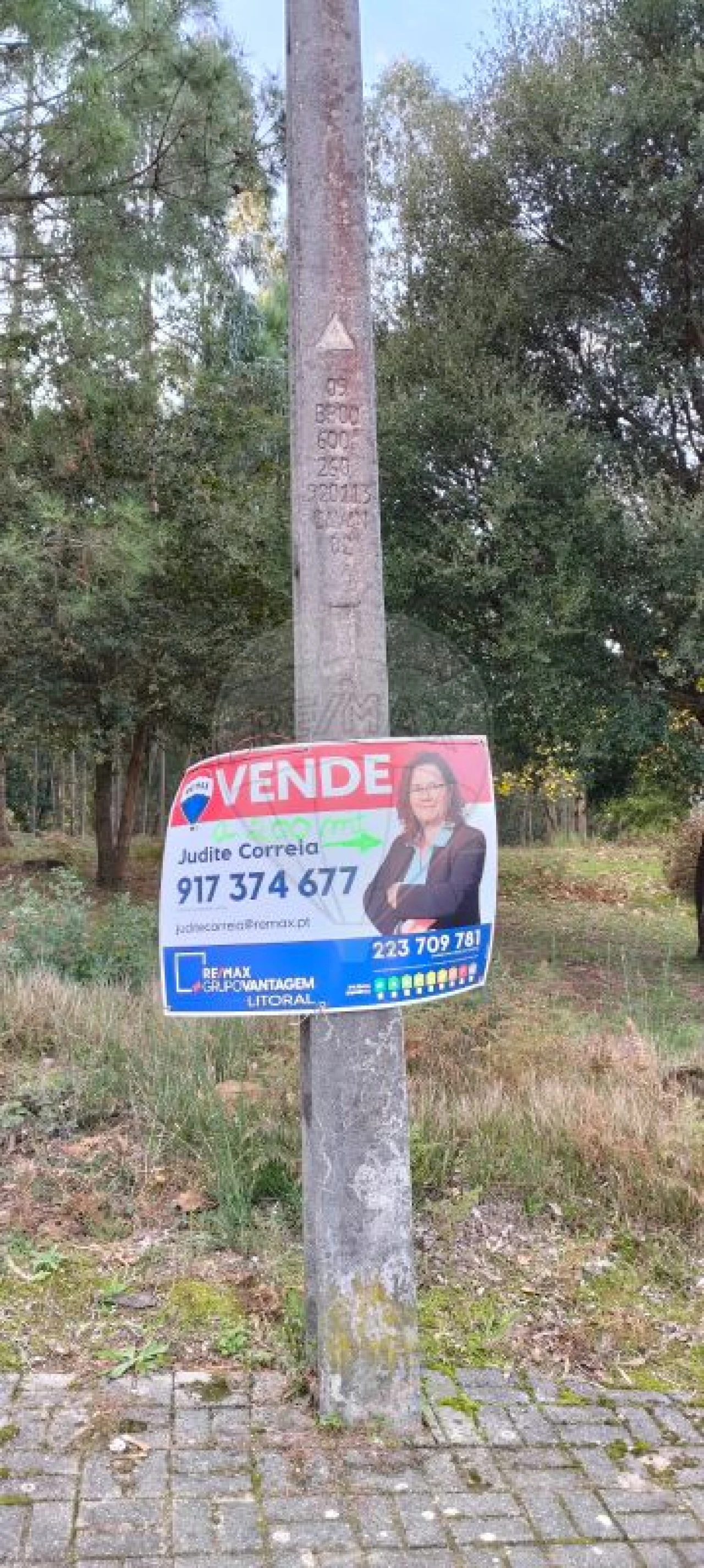 Terreno para Venda em Argoncilhe Foto 7