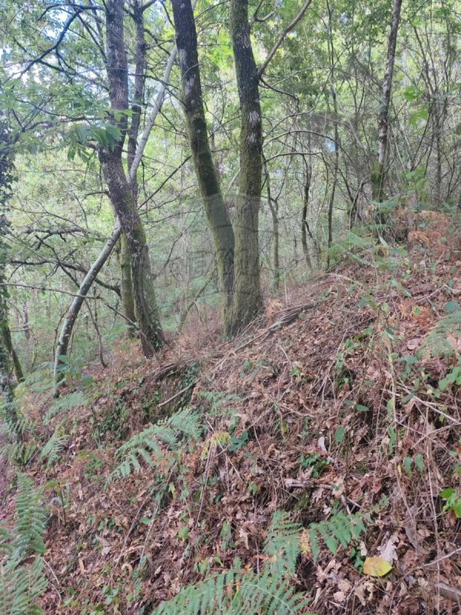 Terreno para Venda em Eira Vedra Foto 5