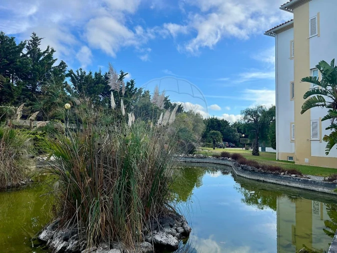 Apartamento T4 para Venda em Santa Maria e São Miguel, São Martinho, São Pedro Penaferrim Foto 36