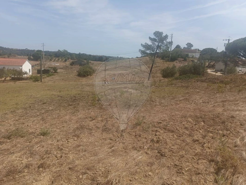 Terreno para Venda em São João da Ribeira e Ribeira de São João Foto 14