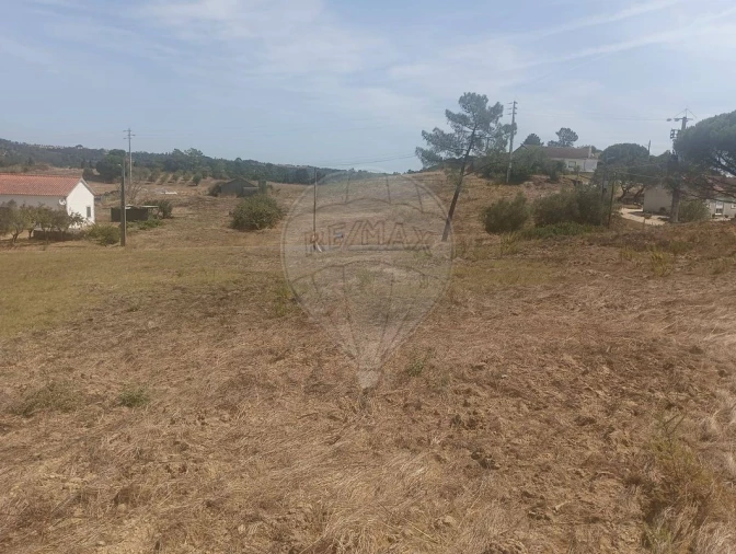 Terreno para Venda em São João da Ribeira e Ribeira de São João Foto 14