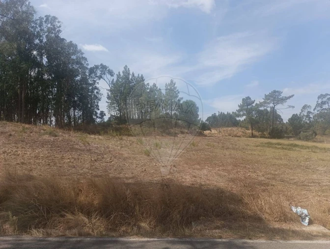 Terreno para Venda em São João da Ribeira e Ribeira de São João Foto 11