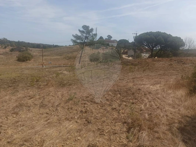 Terreno para Venda em São João da Ribeira e Ribeira de São João Foto 13