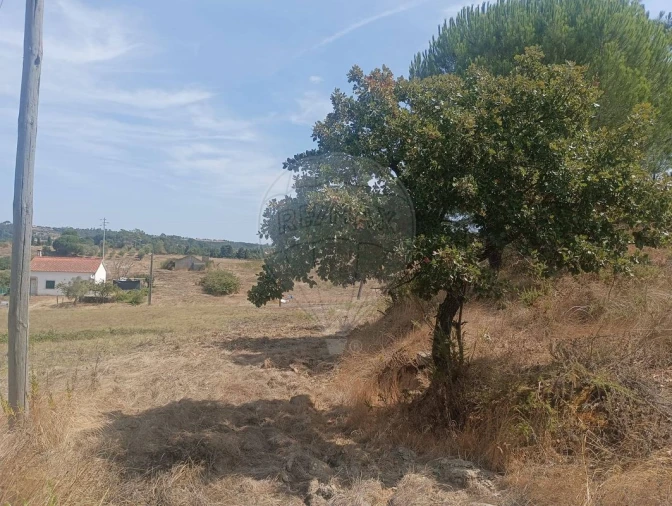 Terreno para Venda em São João da Ribeira e Ribeira de São João Foto 9