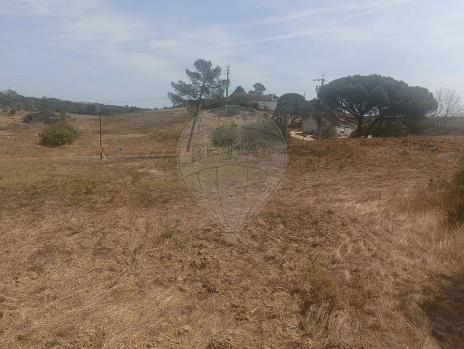 Terreno para Venda em São João da Ribeira e Ribeira de São João Foto 13