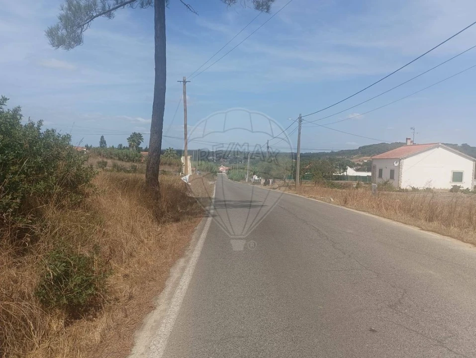 Terreno para Venda em São João da Ribeira e Ribeira de São João Foto 5