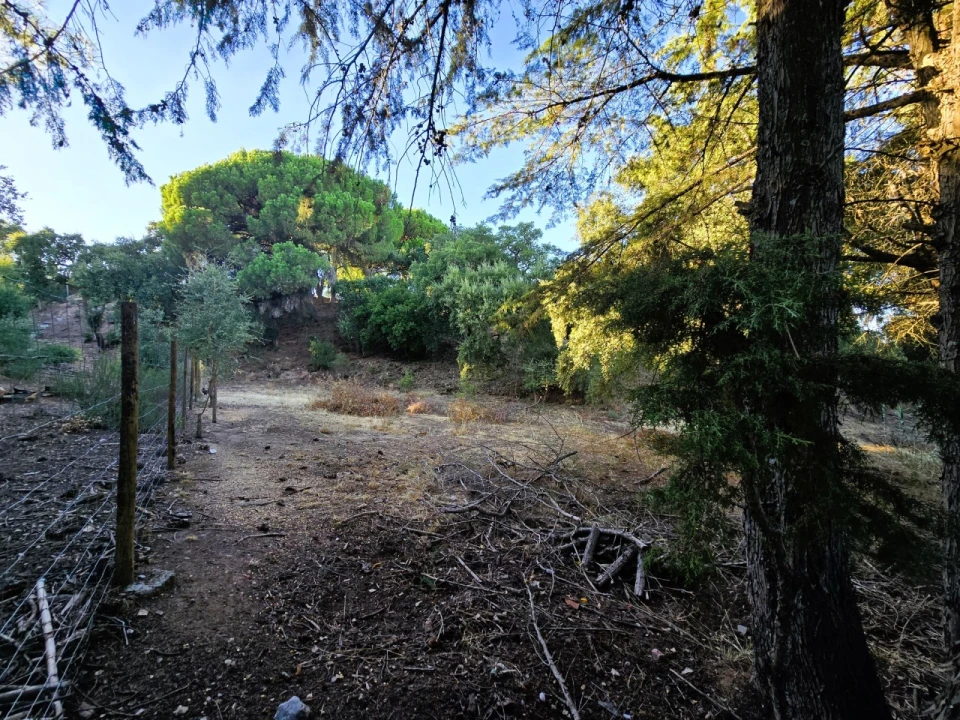 Terreno para Venda em Palmela Foto 10