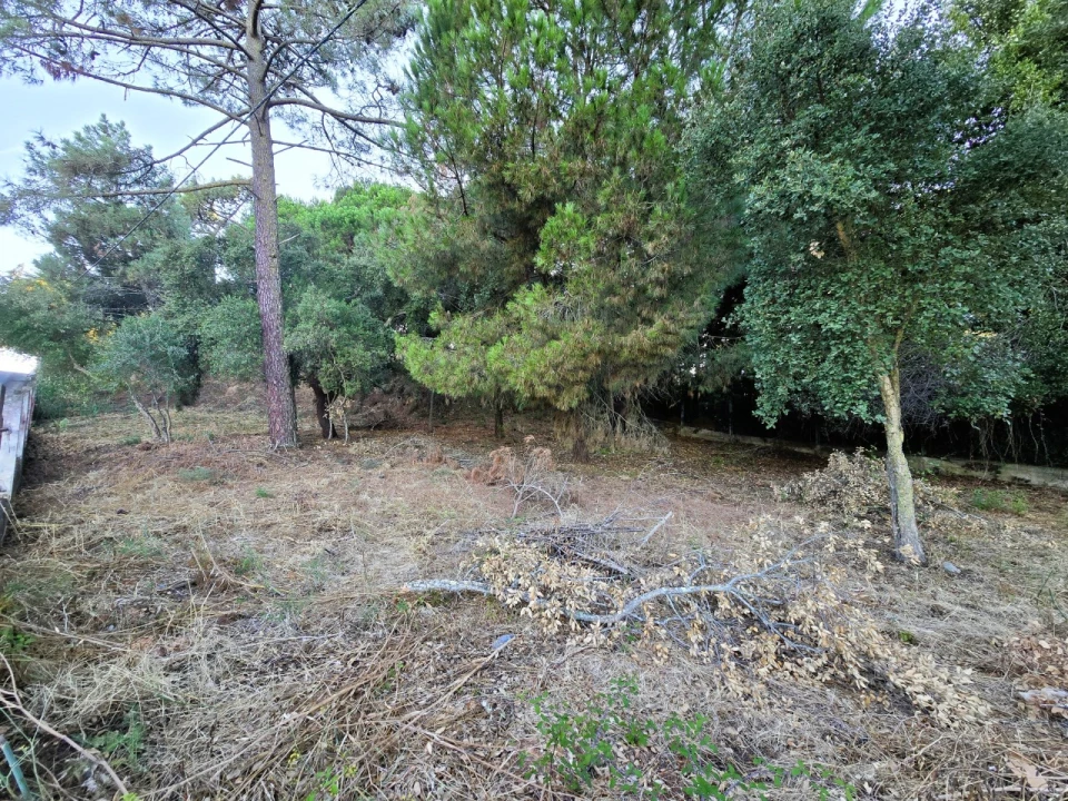 Terreno para Venda em Palmela Foto 11