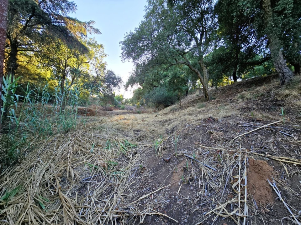 Terreno para Venda em Palmela Foto 12