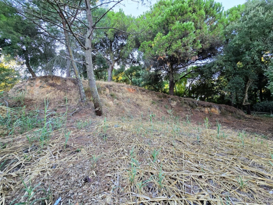 Terreno para Venda em Palmela Foto 13