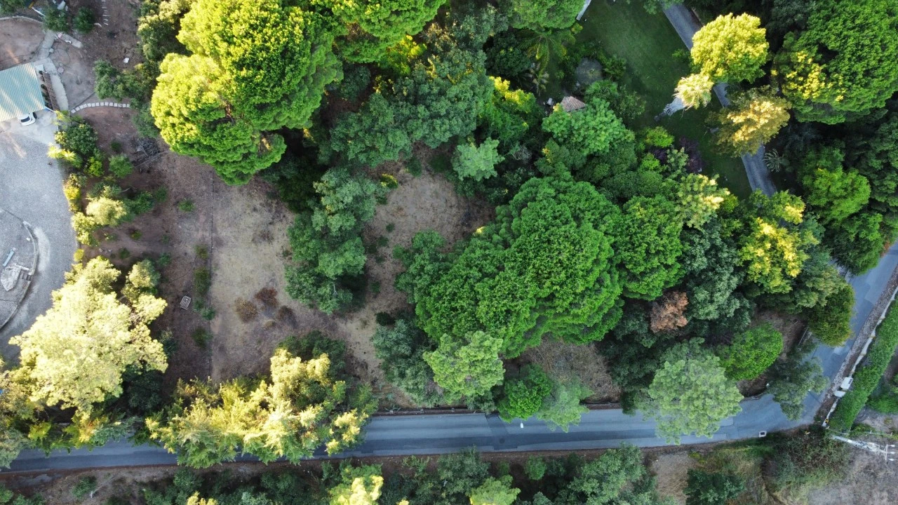 Terreno para Venda em Palmela Foto 3