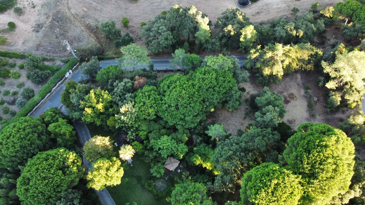 Terreno para Venda em Palmela Foto 4