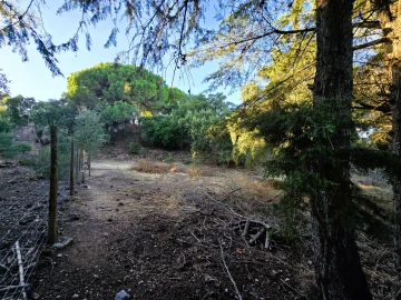 Terreno para Venda em Palmela