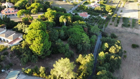 Terreno para Venda em Palmela