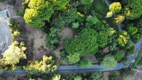 Terreno para Venda em Palmela