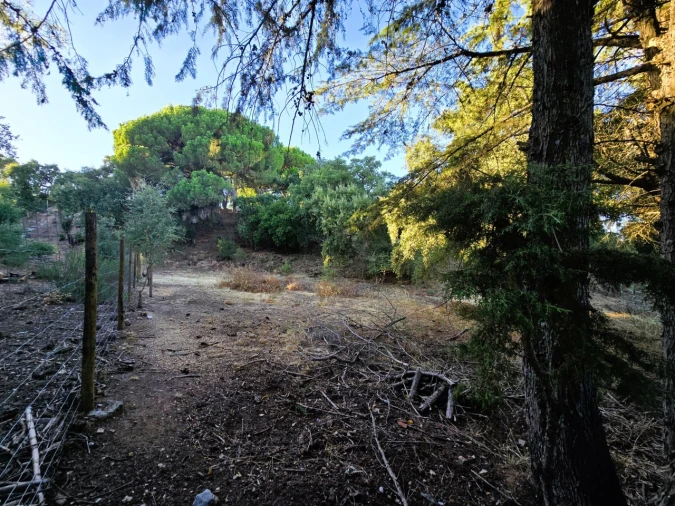 Terreno para Venda em Palmela Foto 10
