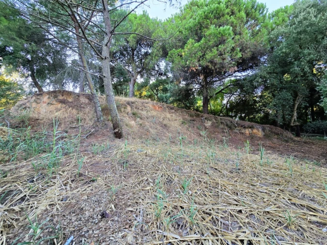 Terreno para Venda em Palmela Foto 13