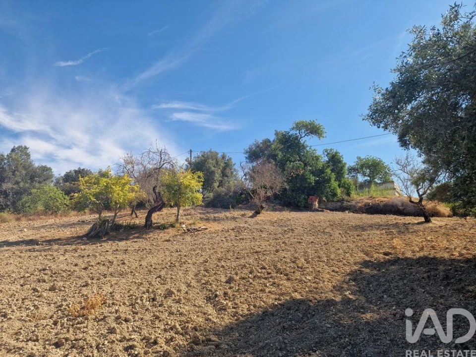 Prédio para Venda em Santa Barbara de Nexe Foto 23