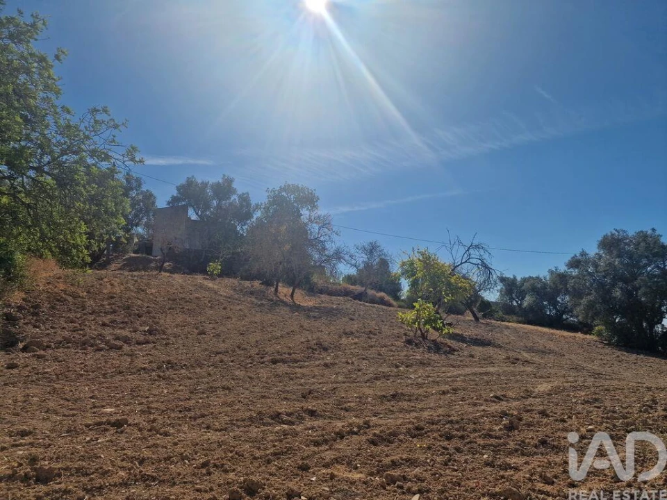Prédio para Venda em Santa Barbara de Nexe Foto 22
