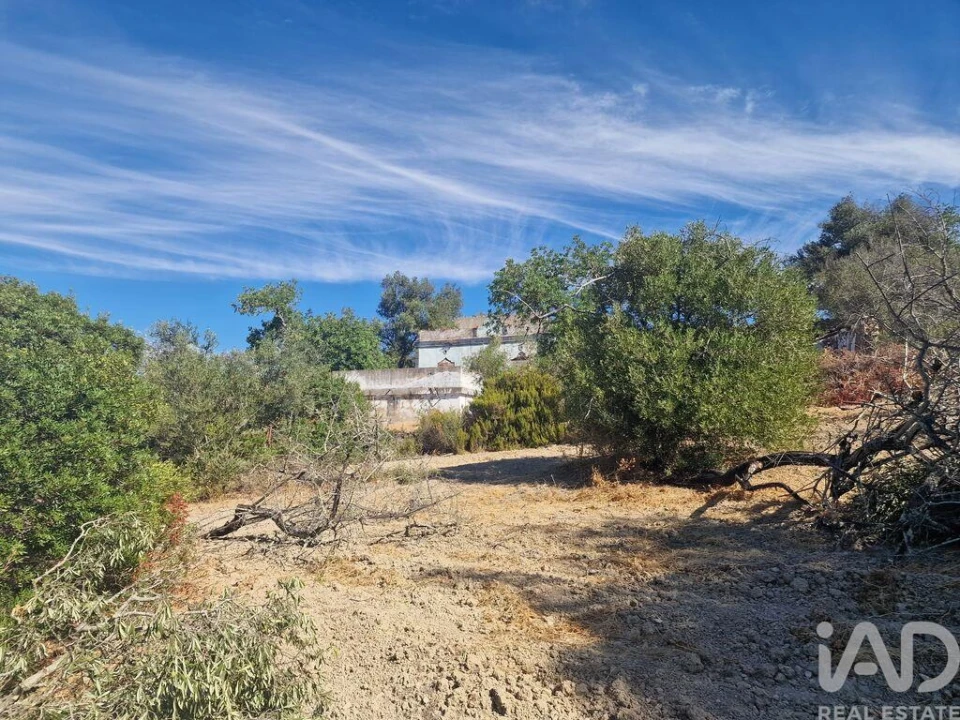 Prédio para Venda em Santa Barbara de Nexe Foto 26