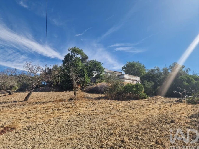 Prédio para Venda em Santa Barbara de Nexe Foto 24