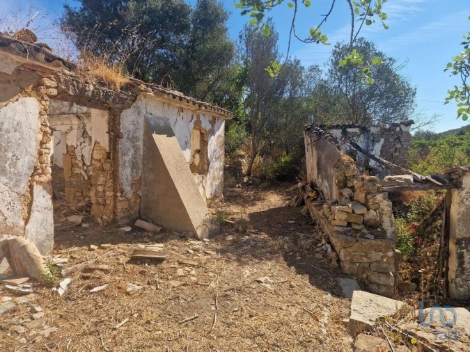 Prédio para Venda em Santa Barbara de Nexe Foto 6