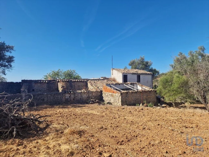 Prédio para Venda em Santa Barbara de Nexe Foto 2