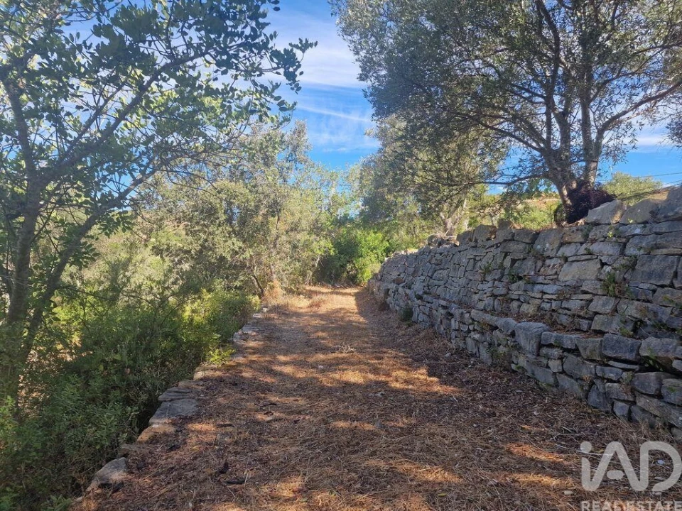 Prédio para Venda em Santa Barbara de Nexe Foto 21