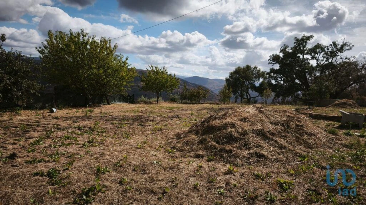 Terreno para Venda em Santa Ovaia e Vila Pouca da Beira Foto 12