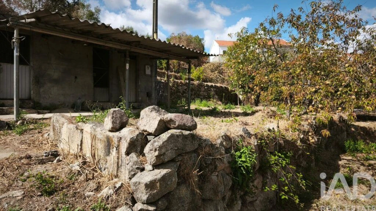 Terreno para Venda em Santa Ovaia e Vila Pouca da Beira Foto 21