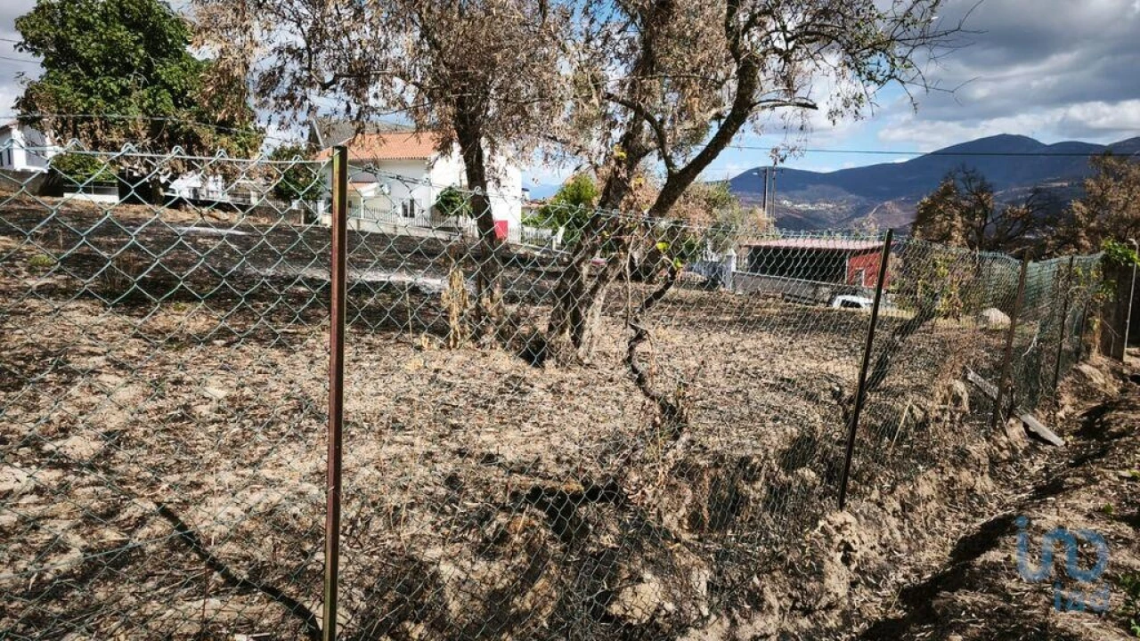 Terreno para Venda em Santa Ovaia e Vila Pouca da Beira Foto 6