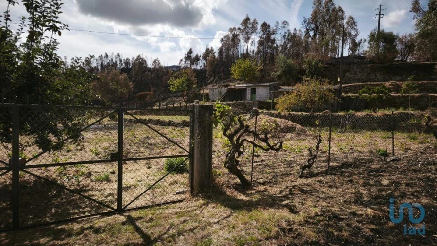 Terreno para Venda em Santa Ovaia e Vila Pouca da Beira Foto 13