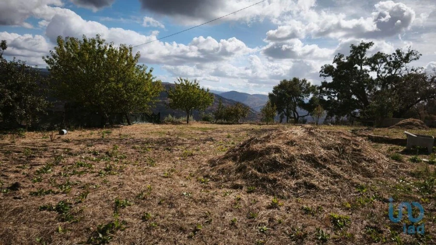 Terreno para Venda em Santa Ovaia e Vila Pouca da Beira Foto 12