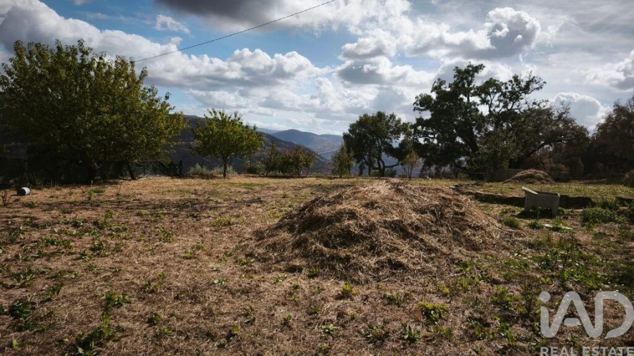 Terreno para Venda em Santa Ovaia e Vila Pouca da Beira Foto 24