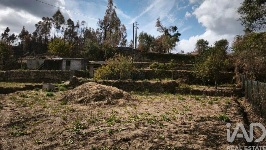 Terreno para Venda em Santa Ovaia e Vila Pouca da Beira Foto 25