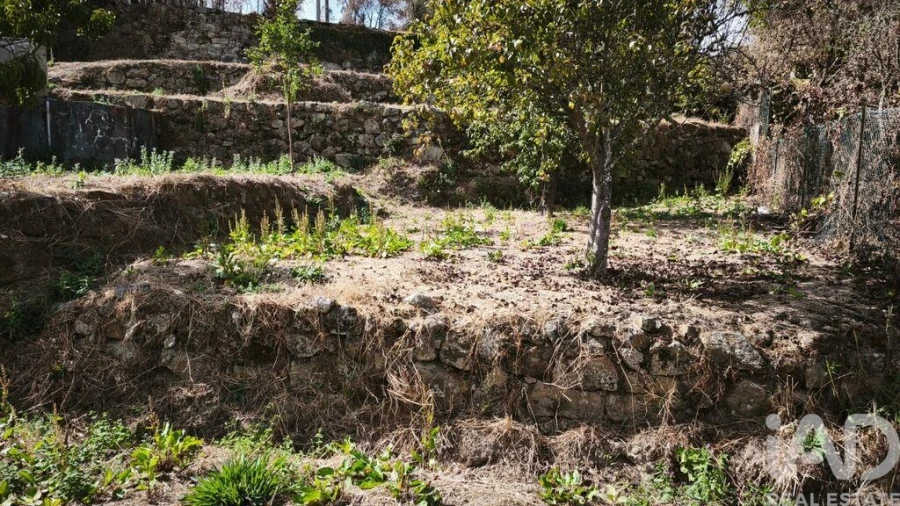 Terreno para Venda em Santa Ovaia e Vila Pouca da Beira Foto 16