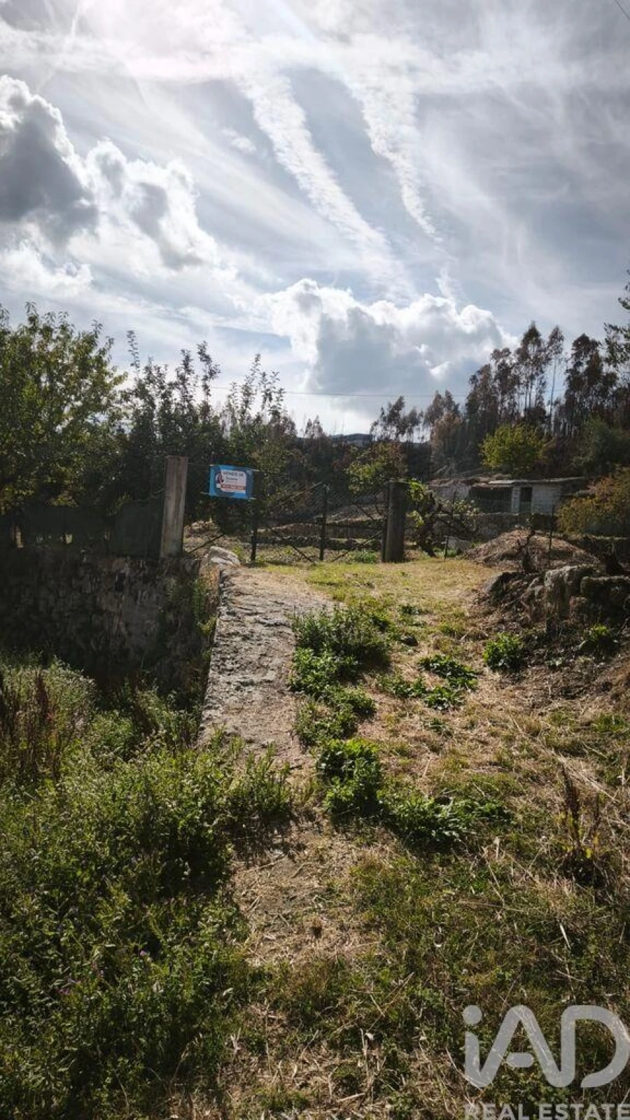 Terreno para Venda em Santa Ovaia e Vila Pouca da Beira Foto 20